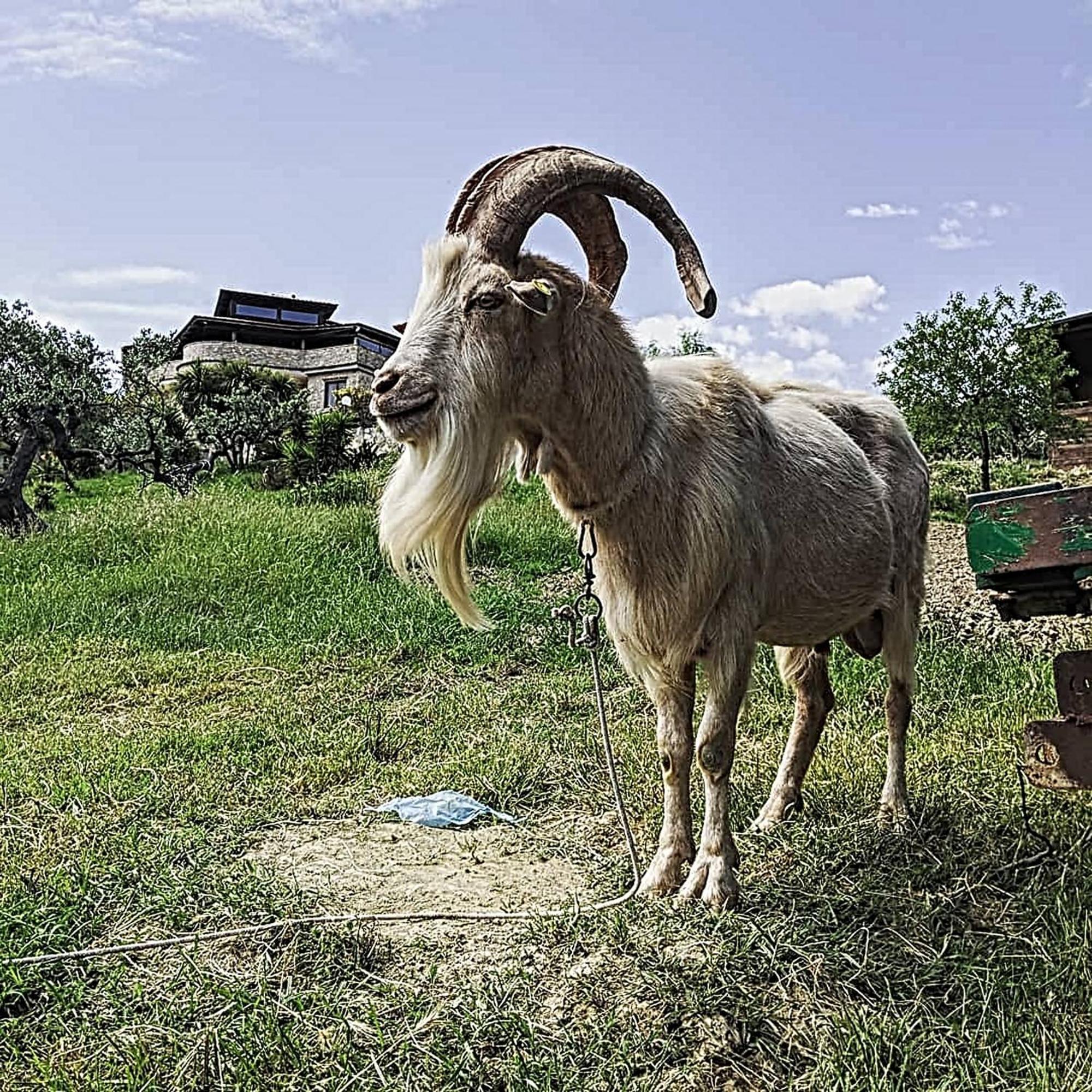 Agriturismo Il Tratturo B&B Vasto Dış mekan fotoğraf